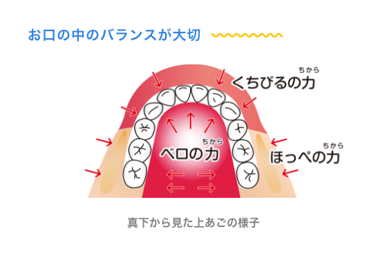 プレオルソの正しい使用方法|たまプラーザの矯正歯科|dentalclinicCたまプラーザ